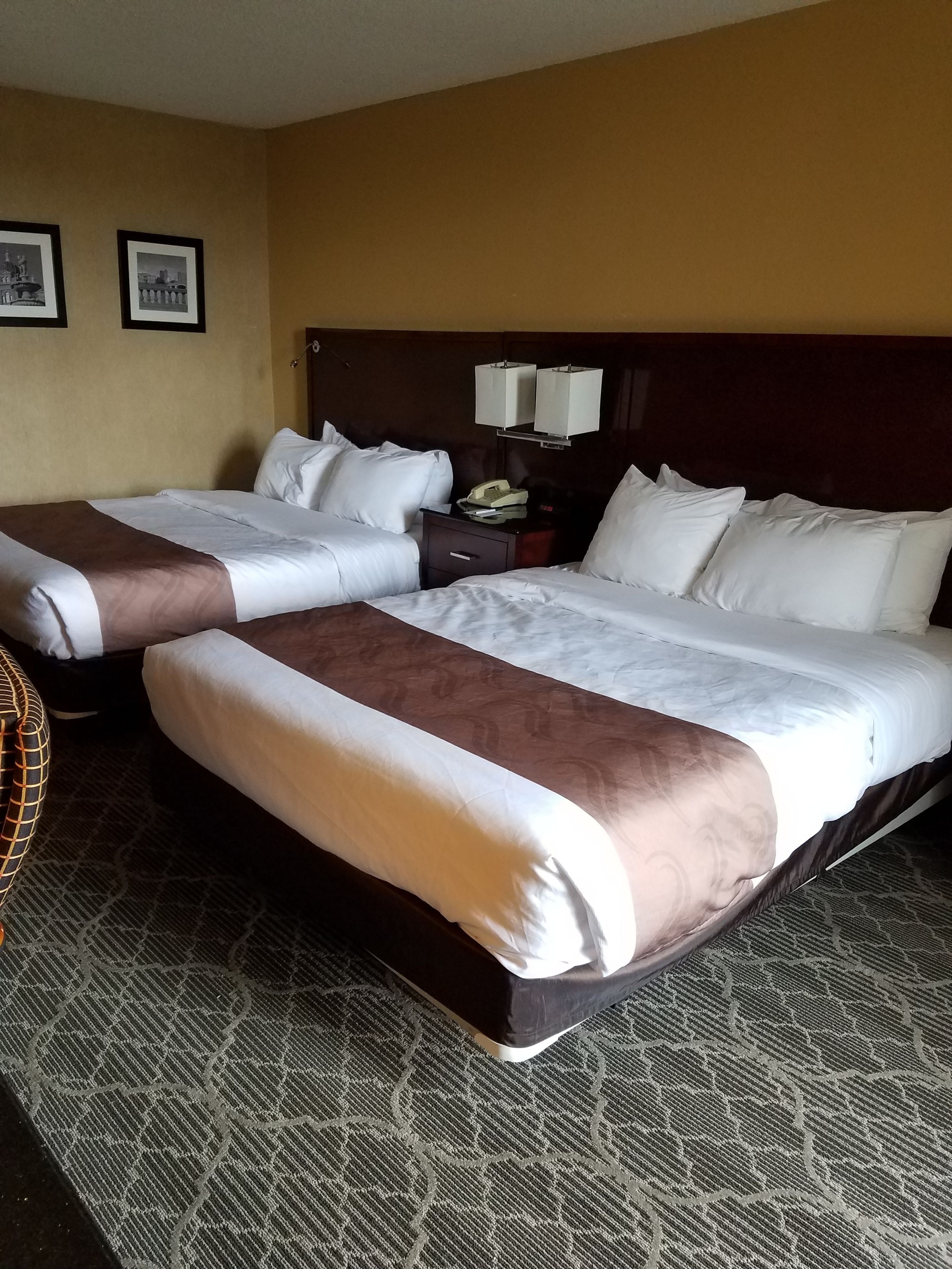 Una camera d'hotel con due letti, una testiera in legno, un comodino con una lampada e una moquette fantasia.