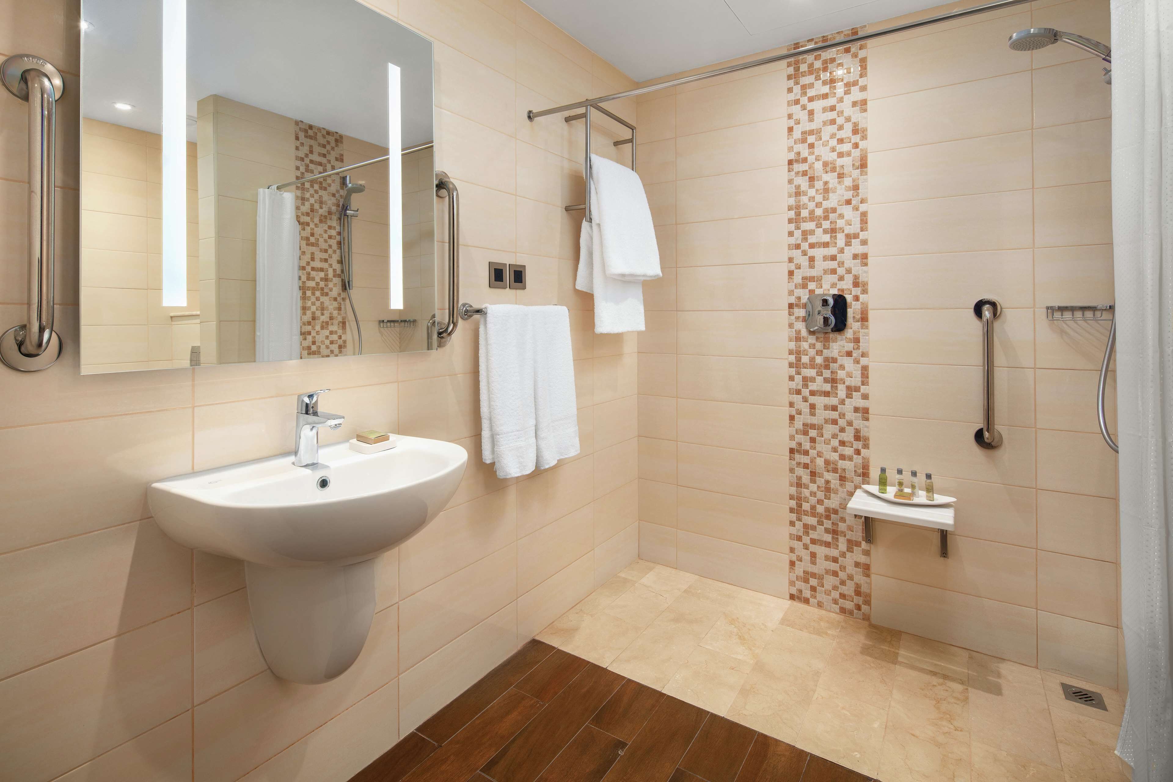 room, 1 king bed, accessible | bathroom shower