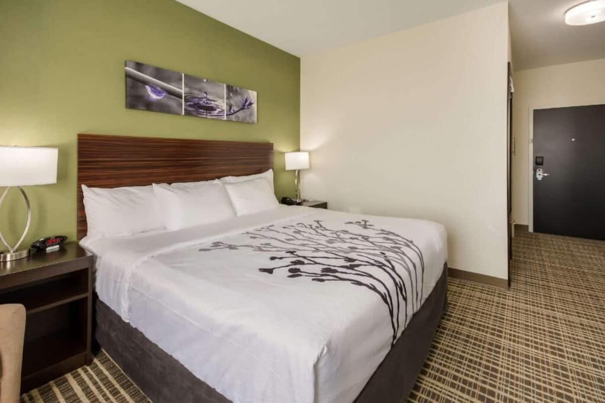 Een hotelkamer met een groot bed, twee nachtkastjes, een wandlamp en een kunstwerk aan de muur.