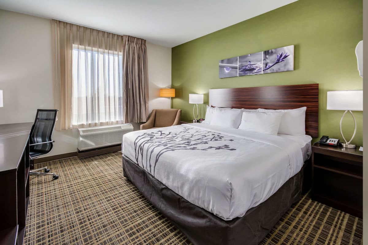 Standard Room, 1 King Bed, Non Smoking | Premium bedding, desk, laptop workspace, blackout drapes