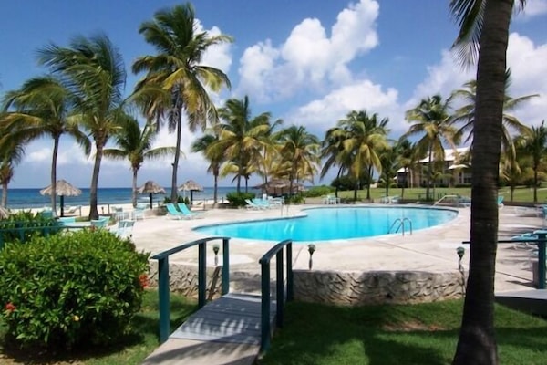 Our BIG BEAUTIFUL POOL filtered by mineral salts, not chlorine. gorgeous setting