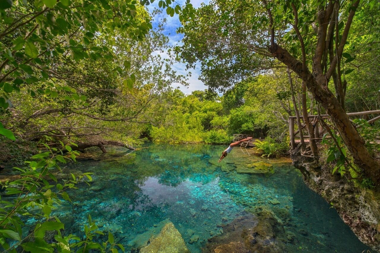 Uma piscina natural rodeada por vegetação exuberante e uma ponte de madeira.