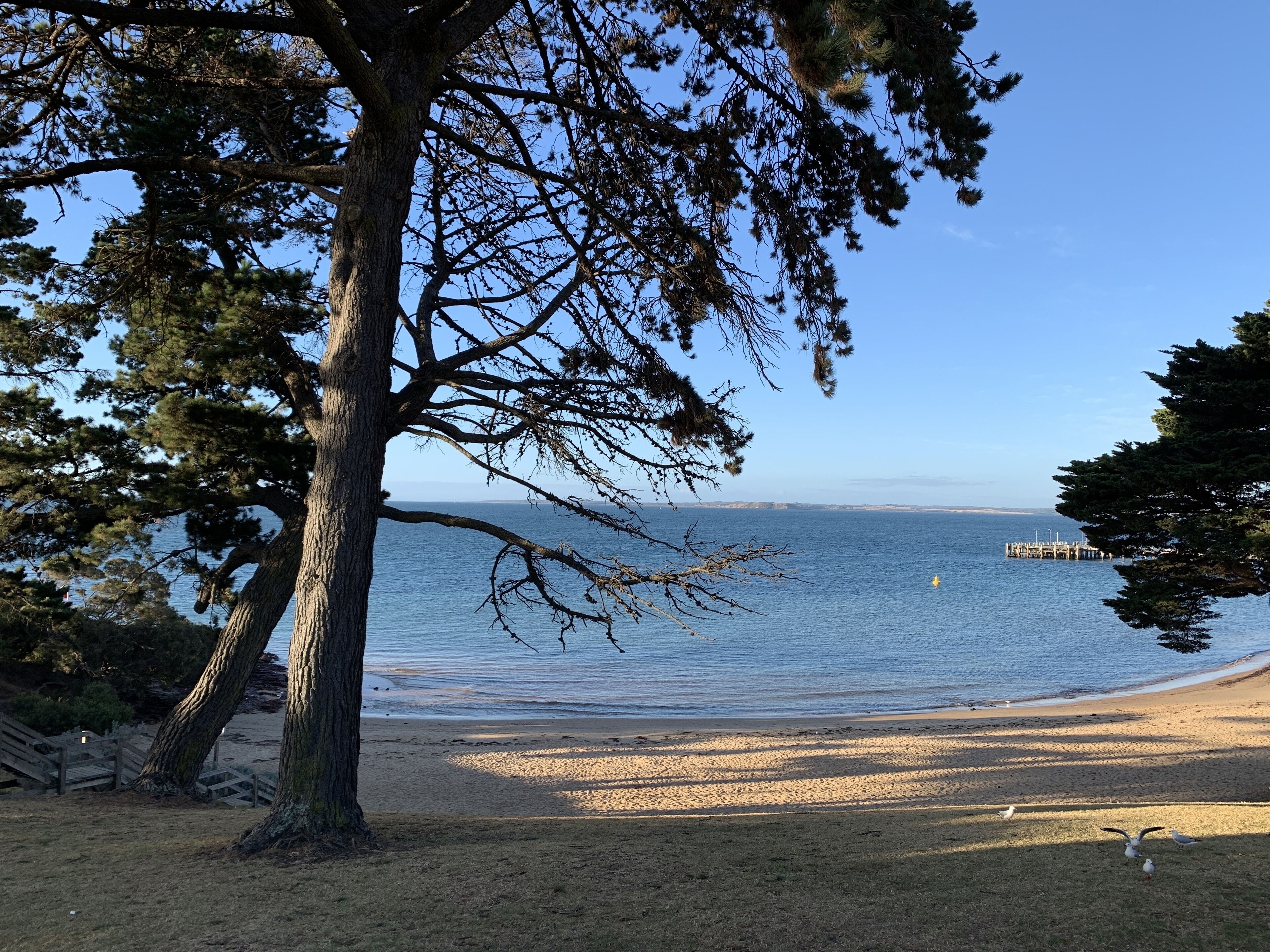 Una spiaggia nelle vicinanze