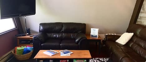 TV, fireplace, books