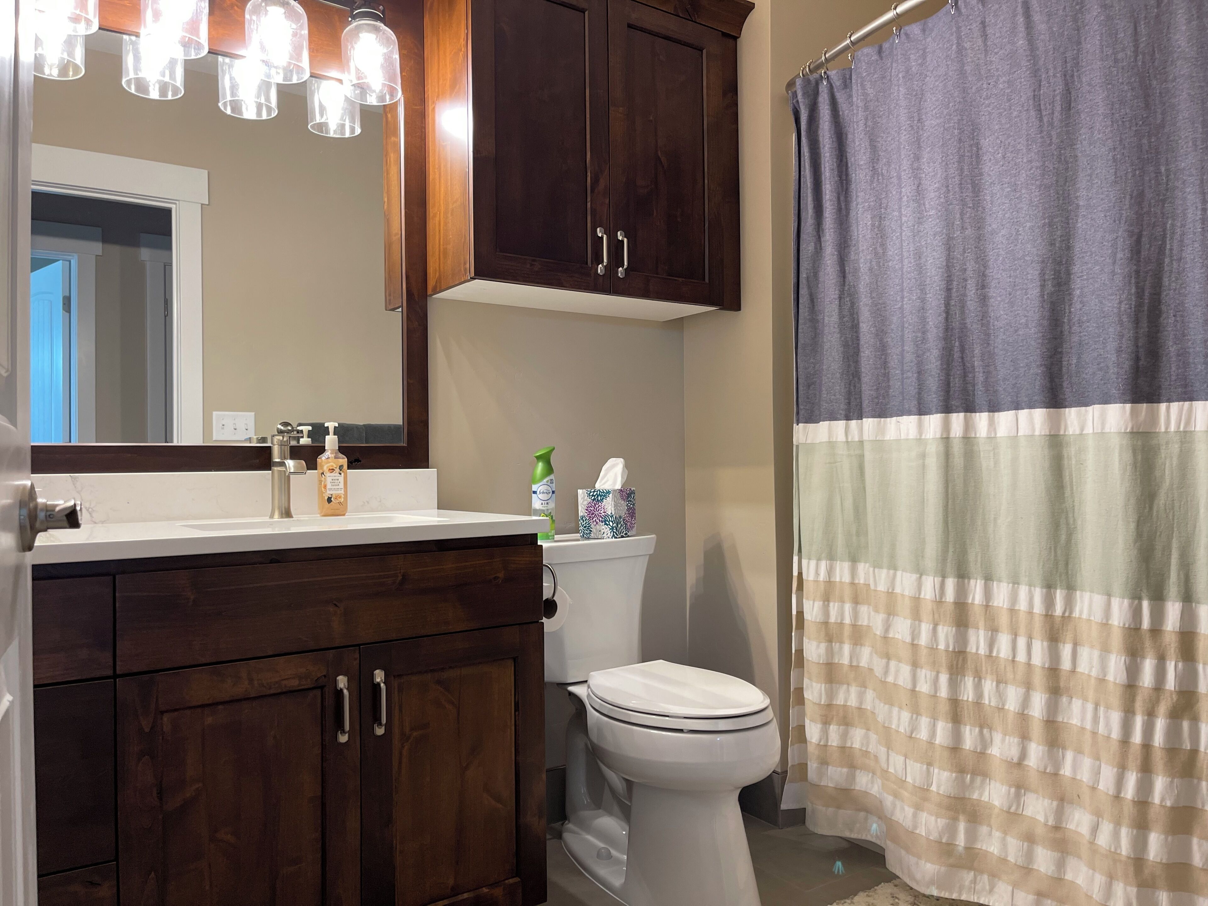 Hair dryer, towels, soap, shampoo