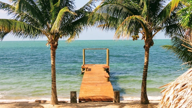 Een houten steiger die naar een strand leidt, met palmbomen en de oceaan op de achtergrond.