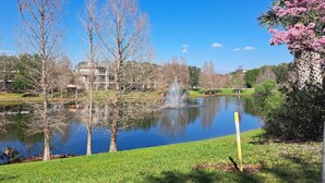 A serene park with a pond, trees, and a fountain. - Platinum rated 2BR ground floor next to pool big screen TVs, Huge patio, wifi (Davenport)