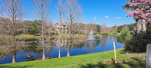 Property grounds - Platinum rated 2BR ground floor next to pool big screen TVs, Huge patio, wifi (Davenport)