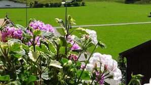 A view of a green field with a mountain in the background. - Beautiful Family Apartment (Hinterbichl)