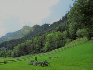 Terrain de l’hébergement 