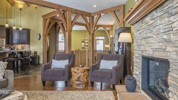 Télévision, cheminée, lecteur de DVD, livres