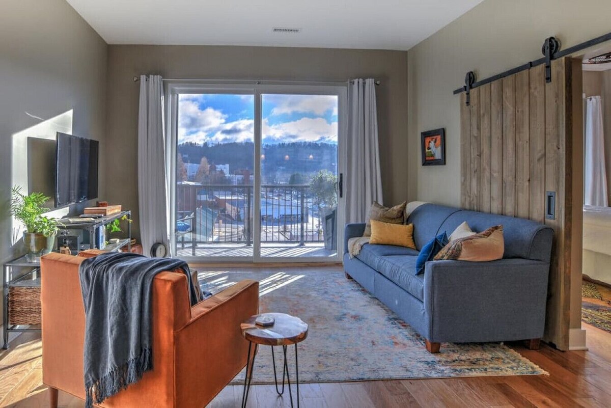 Gorgeous Downtown Asheville Condo
