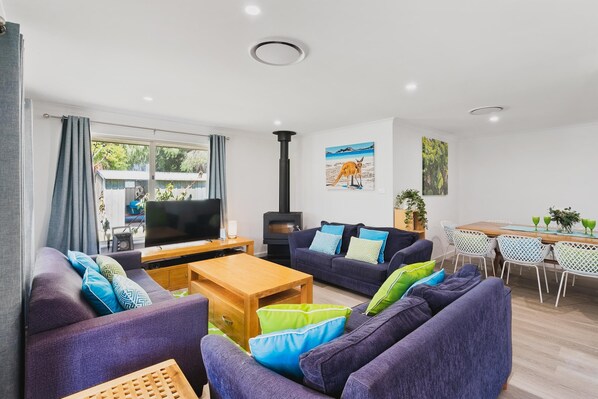 Smart TV, fireplace, video games, DVD player