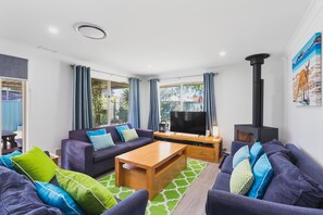 Smart TV, fireplace, video games, DVD player