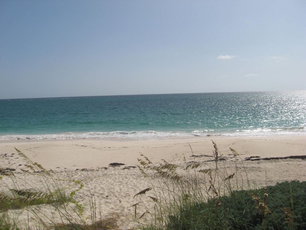 Une plage avec un ciel dégagé et une mer calme.