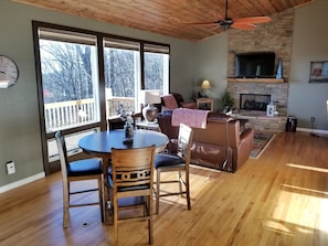 Smart TV, fireplace, books, music library