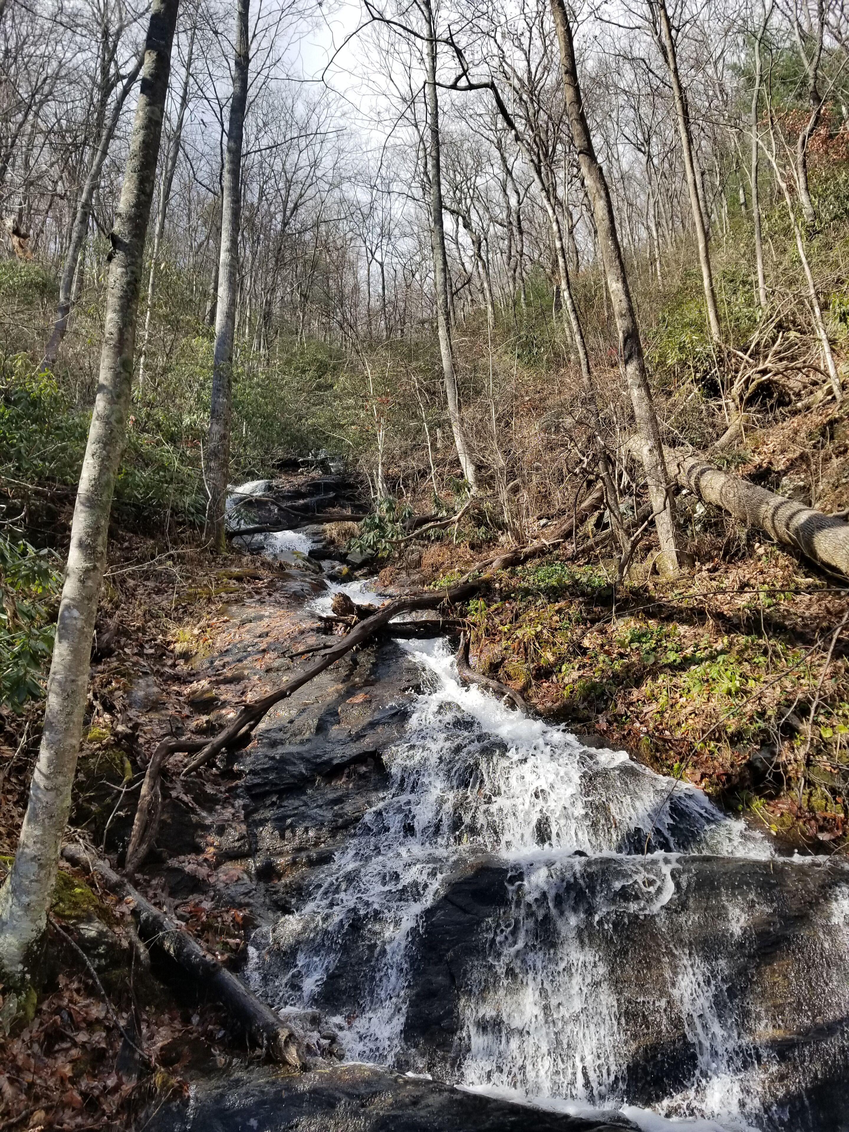 A natural waterfall in a forested area with bare trees and rocky terrain.