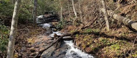 A natural waterfall in a forested area with bare trees and rocky terrain.