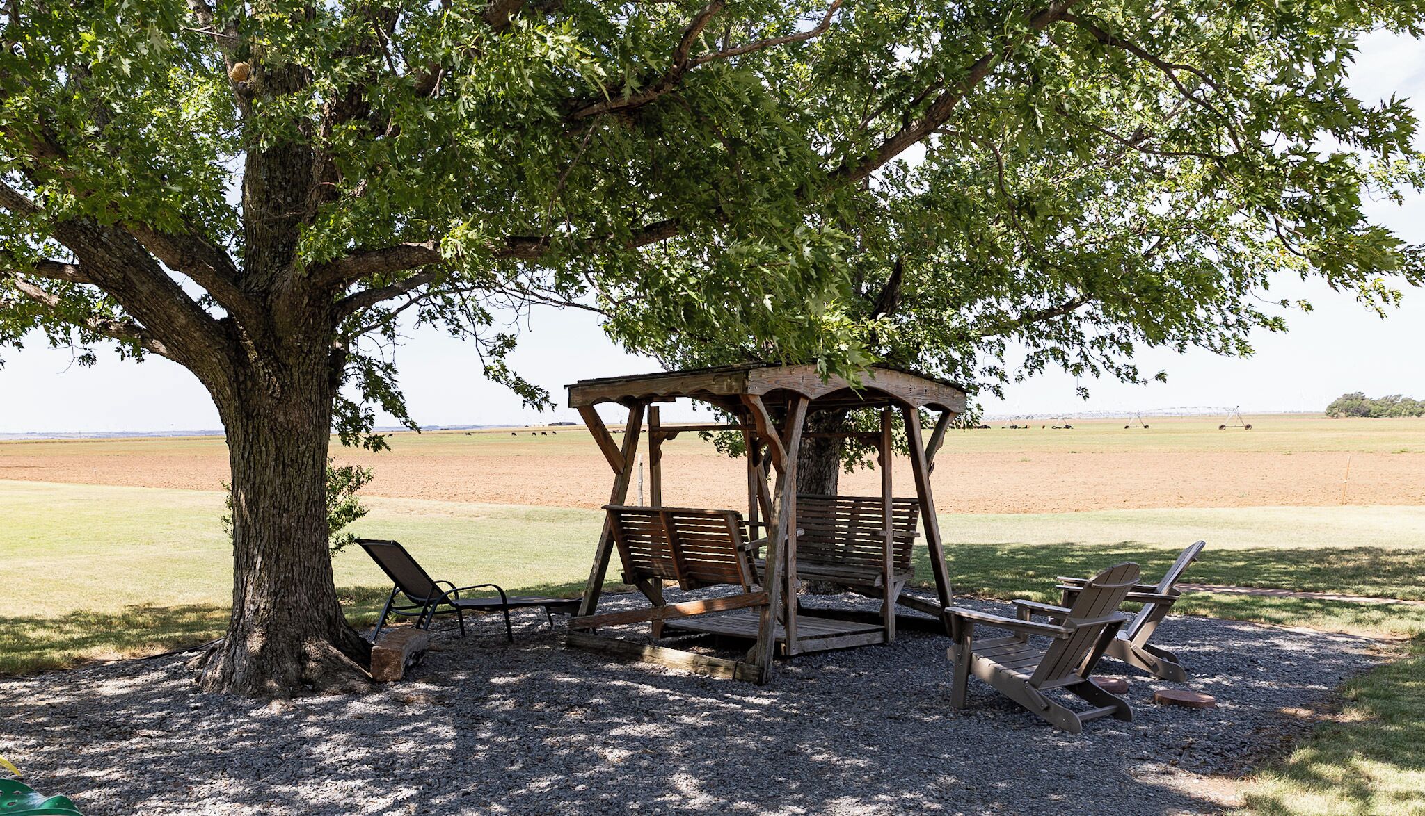 A wooden gazebo with benches under a tree, surrounded by a grassy field.