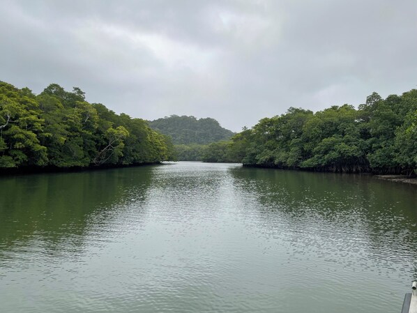 منوع
