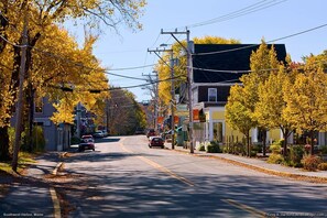 Straßenansicht in Southwest Harbor, Maine, mit Herbstlaub, Gebäuden und parkenden Autos.