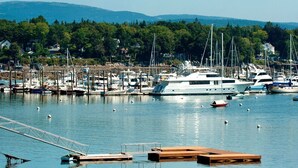 Un puerto deportivo con varias embarcaciones amarradas, un muelle de madera y un paisaje de casas y árboles.