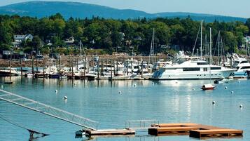 A marina with various boats docked, a wooden pier, and a backdrop of houses and trees.