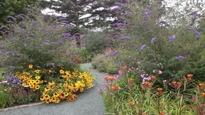 Un sendero en un jardín rodeado de diversas plantas florecientes.