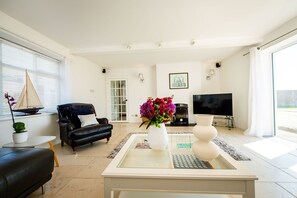 TV connectée, cheminée, lecteur de DVD, livres