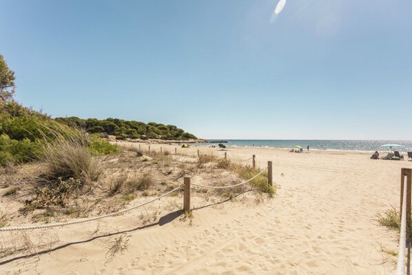 A sandy beach with a rope barrier, some greenery, and a clear sky.