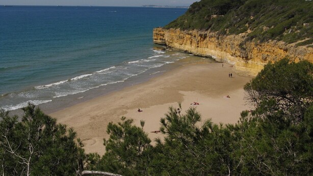 A beach with a sandy shore, a rocky cliff, and dense greenery. - Spacious and bright designer apartment next to Playa Larga (Tarragona)