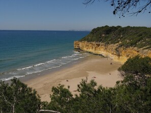 A beach with a sandy shore, a rocky cliff, and dense greenery.