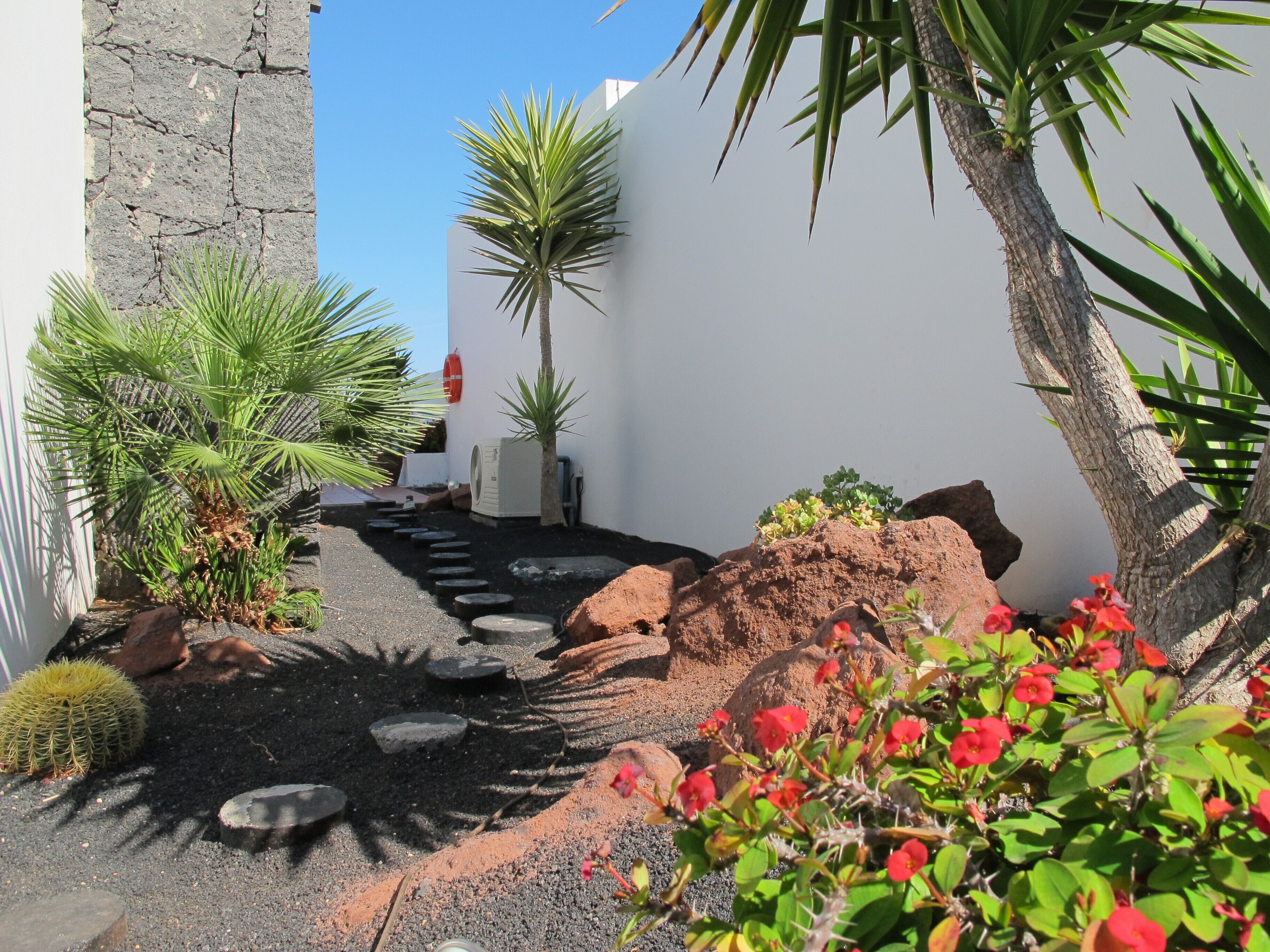 Ein Garten mit Steinmauer, Palmen und verschiedenen Pflanzen.