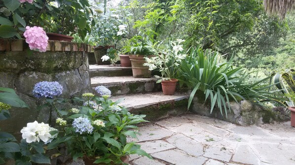 Terrain de l’hébergement 