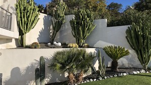 Un jardín ajardinado con diversos cactus y una palmera, un muro blanco y un edificio de diseño moderno.