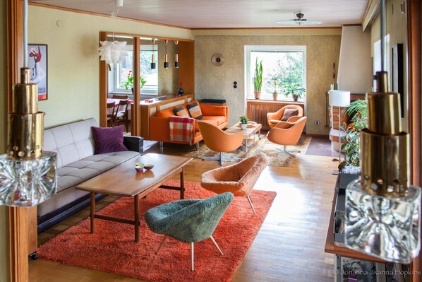 Smart TV, fireplace, video games, DVD player