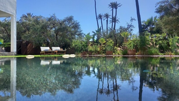 A clear pool with lounge chairs and tropical plants. - House / Villa - MarrakechHouse with garden (Marrakesh)