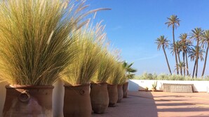 A row of large terracotta pots with tall grasses on a paved walkway. - House / Villa - MarrakechHouse with garden (Marrakesh)