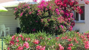 Un edificio con un gran arbusto de flores rosas en primer plano.