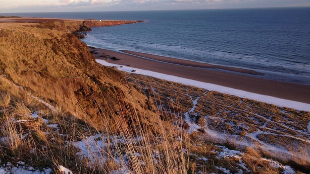 A coastal landscape with a beach, grassy terrain, and a cliff overlooking the sea. - Cottage With Secure Garden, Wood Burning Stove And Sea Views (St Cyrus)