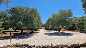 A gravel path flanked by olive trees, with a stone wall in the foreground and a clear blue sky above. - Architecturally Designed Sea View Villa in Carovigno, Nr Ostuni with Heated Pool (carovigno)