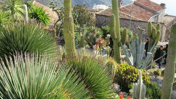 Jardines del alojamiento