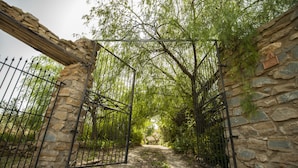 A stone archway leading into a wooded area with a metal gate. - Ancient Mint center Sicily (Pietraperzia (EN) Sicili)