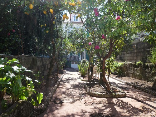 Porto Family House. House before 1910 restored for up to 10 people