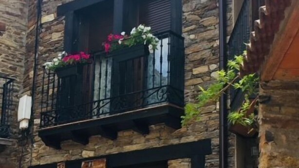 Un edificio de piedra con un balcón que presenta barandillas de hierro forjado y plantas en macetas.