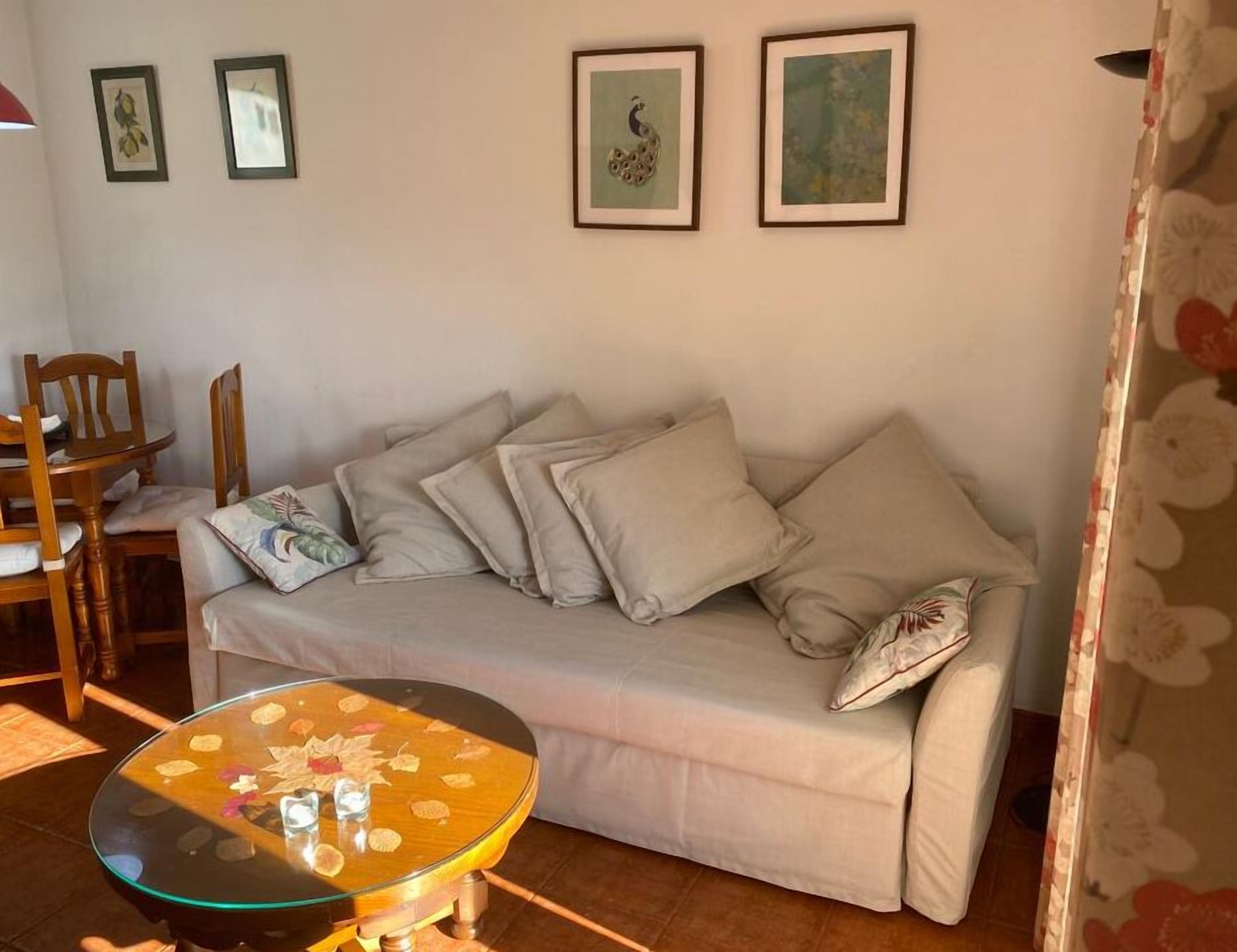TV, fireplace, books