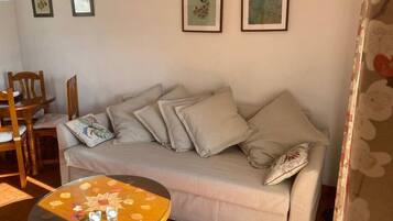 TV, fireplace, books