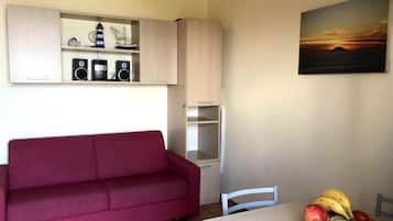 TV, DVD player, books, music library