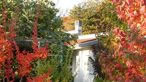 A pathway leading to a house with a white exterior and a red-tiled roof. - Modern 3 bedroom garden apartment with maximum privacy (Castino bei Alba)