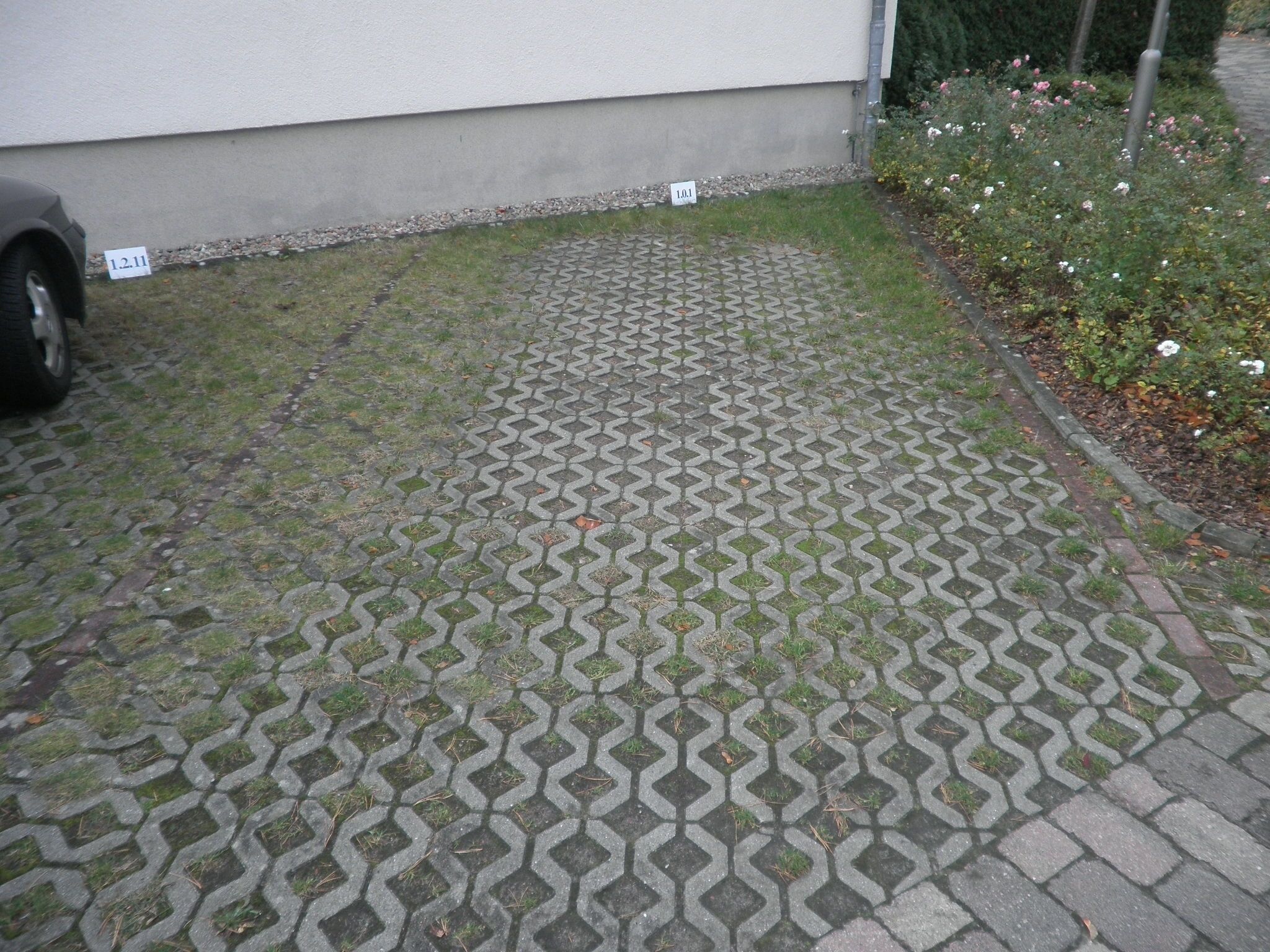 A paved walkway with a geometric pattern, bordered by a low wall and a flower bed.